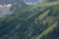 2015-06-25_05Drijaggenalm (156)b.JPG